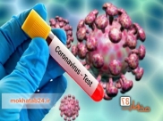 آخرین آمار مبتلایان ویروس کرونا در کشور