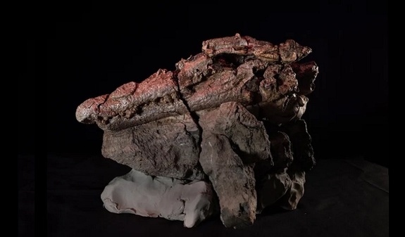 کشف بقایای نمساح ۹۵ میلیون ساله قاتل همراه با آخرین وعده غذایی اش