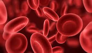 مهم‌ترین نشانه‌های کم خونی چیست؟