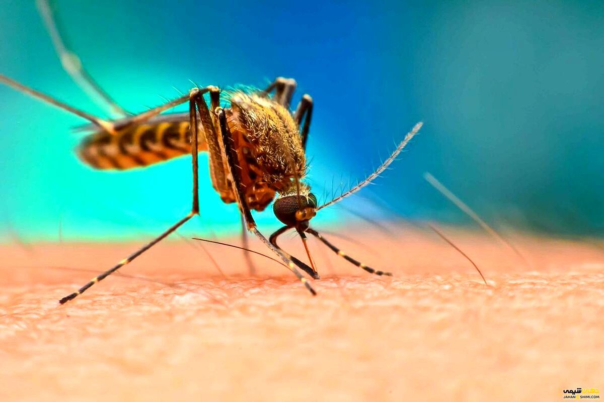 بروز مالاریا در ۴ استان