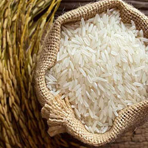 جزئیات خرید اینترنتی برنج