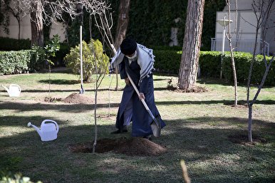 کاشت نهال توسط رهبری در روز درختکاری