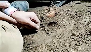 کشف اسکلت ۱۲ هزار ساله در پی کاوش باستان شناسان در غار هوتو مازندران