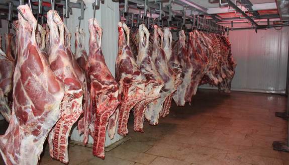 کشتار بی رویه دام‌های مولد در ماه‌های اخیر|نرخ هر کیلو شقه گوسفندی ۱۴۰ هزار تومان