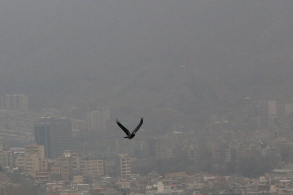 مرگ ۱۲۵۱ تهرانی درپی آلودگی هوای تهران