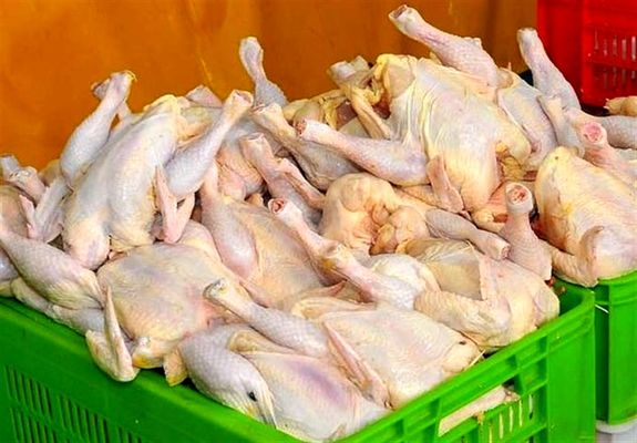 قیمت مرغ در بازار امروز چقدر گران شد؟