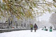 تداوم بارش باران و برف در تهران / کاهش دما از پنجشنبه
