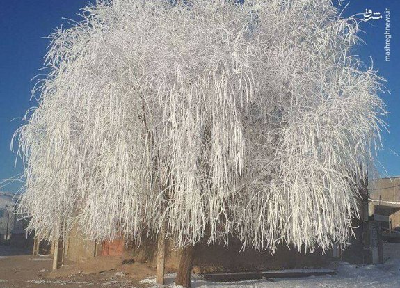 تصاویر یخ زدن پیراهن در سردترین شهر ایران ! | دمای منفی ۲۵ درجه را تجربه کنید