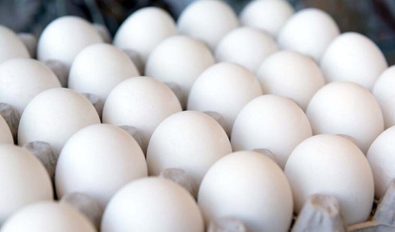 قیمت انواع تخم مرغ در بازار