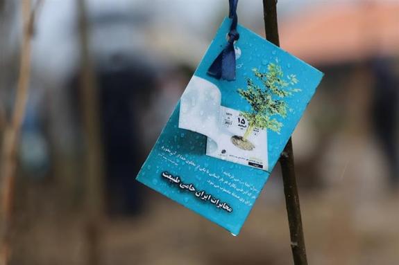 مراسم درختکاری به یاد شهدای شرکت مخابرات ایران با کاشت نهال در جنگل‌های هیرکانی برگزار شد