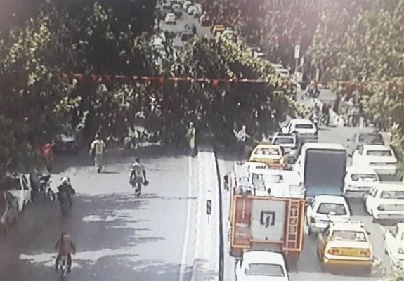 انسداد خیابان شریعتی به دلیل سقوط یک اصله درخت