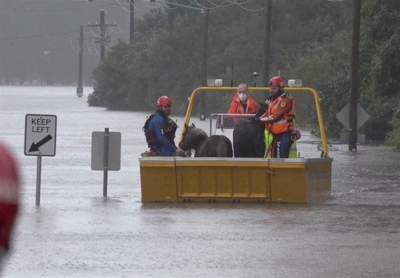 تخلیه شهر سیدنی استرالیا در پی بارش باران سیل آسا