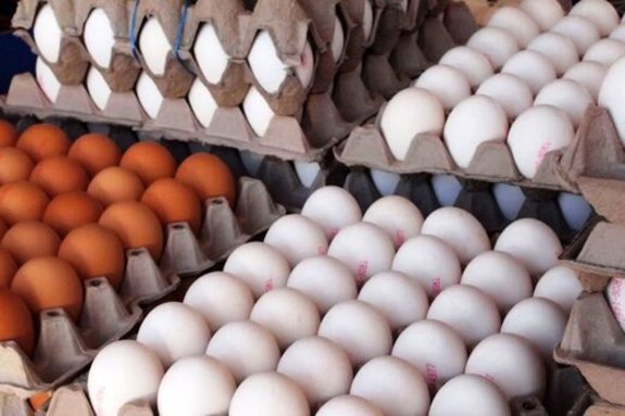 قیمت هر شانه تخم‌مرغ ۷۰ تا ۷۵ هزار تومان