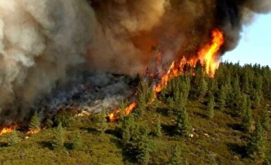آتش سوزی عظیم در جنگل‌های اطراف مادرید + فیلم