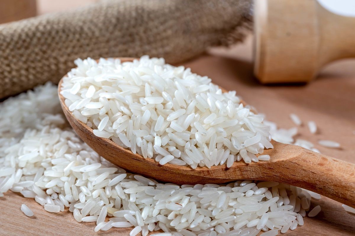 قیمت هر کیلوگرم برنج ایرانی