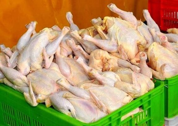 افزایش قیمت مرغ در سایه سکوت دولت