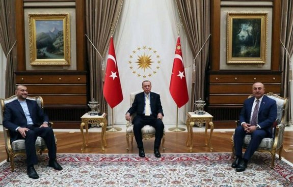 امیر عبداللهیان با اردوغان دیدار کرد