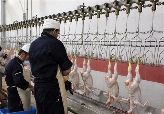 کاهش ۹ هزار تومانی قیمت مرغ در بازار