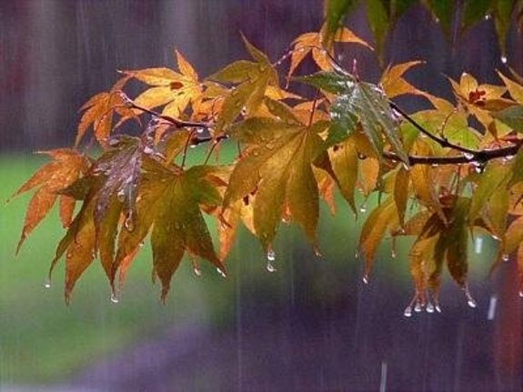 بارش باران در برخی استان‌های کشور طی روزهای آینده