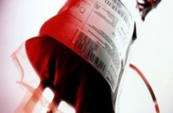استقرار تیم سازمان انتقال خون هرمزگان در جزیره کیش