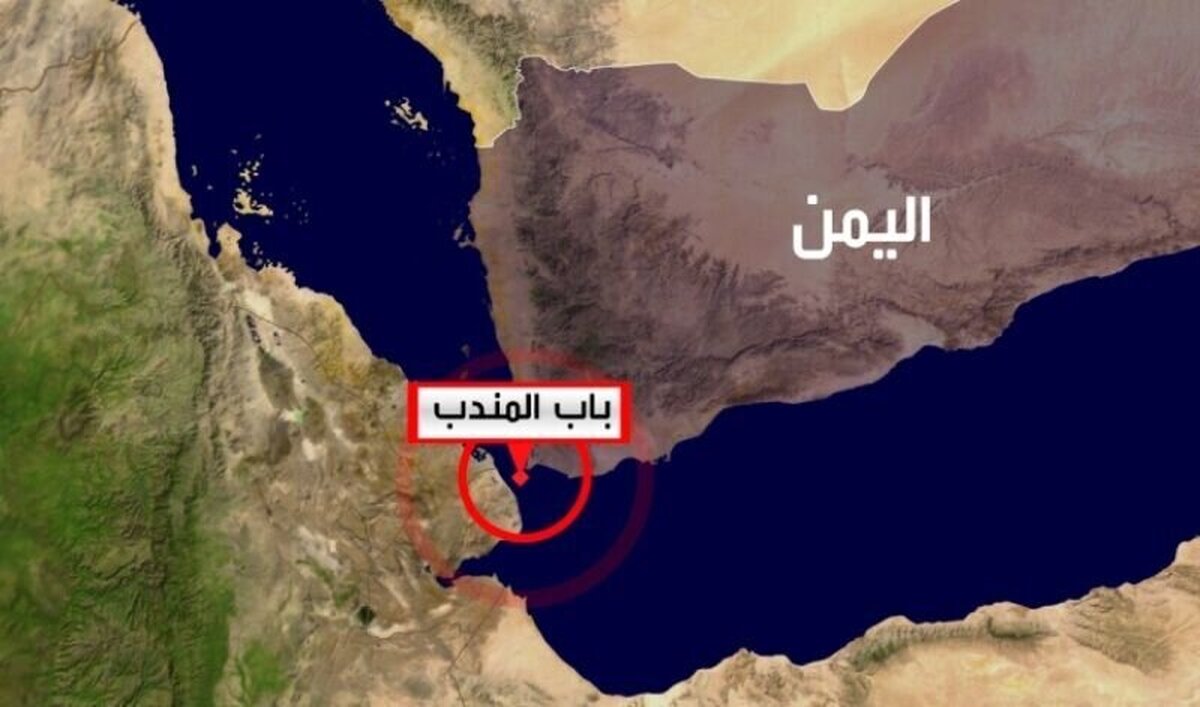 درخواست مقام یمنی از کشتی های عبوری از باب المندب ؛ این پلاکارد را به ما نشان دهید