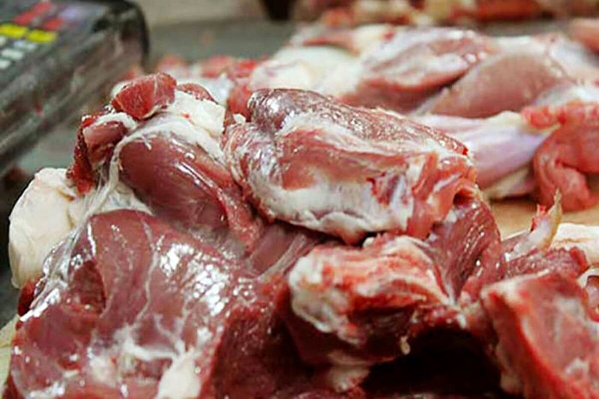 قیمت گوشت گوسفندی منجمد