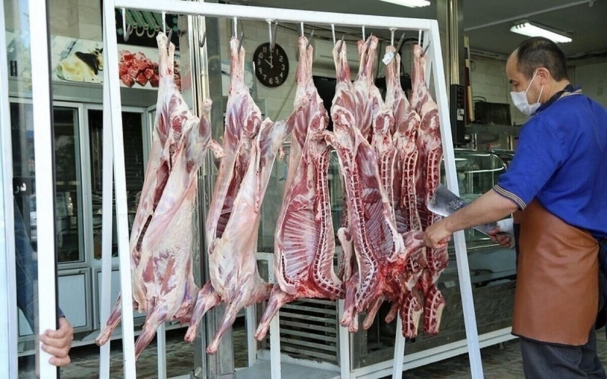 قیمت گوشت منجمد در بازار
