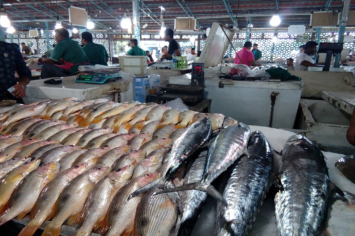 قیمت جدید ماهی قزل آلا در آستانه شب عید