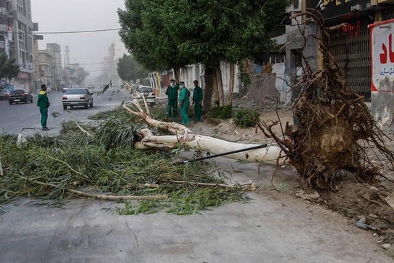 مدیریت بحران برای وزش باد شدید در تهران هشدار داد
