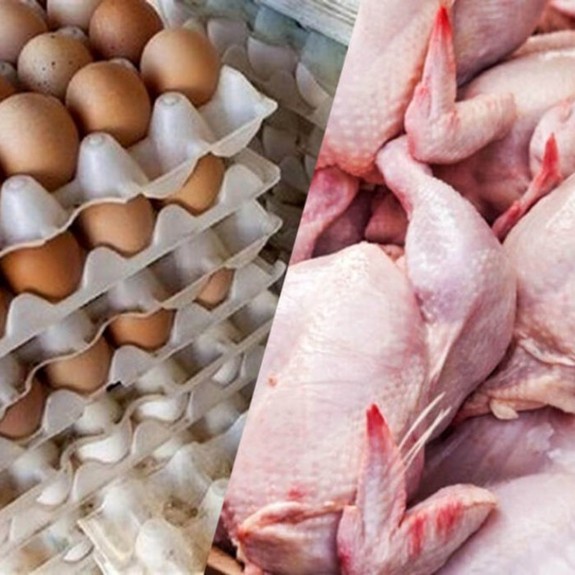 تثبیت قیمت جدید مرغ و تخم‌مرغ با یک شرط و یک درخواست