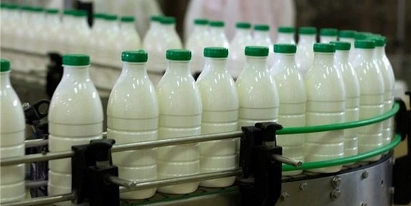 توزیع شیر و لبنیات رایگان در مدارس