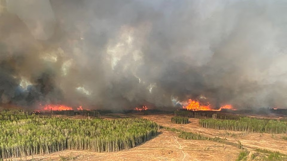 کانادا برای مهار آتش‌سوزی‌های جنگلی ارتش را به کار گرفت