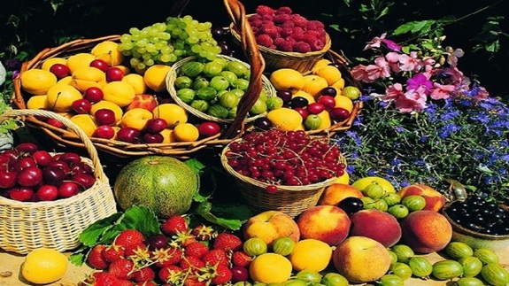 میوه‌های نوبرانه در میادین ارزان‌تر از سطح شهر است