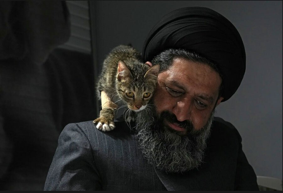 گربه زخمی بر شانه روحانی ایرانی حامی حیوانات (+عکس)