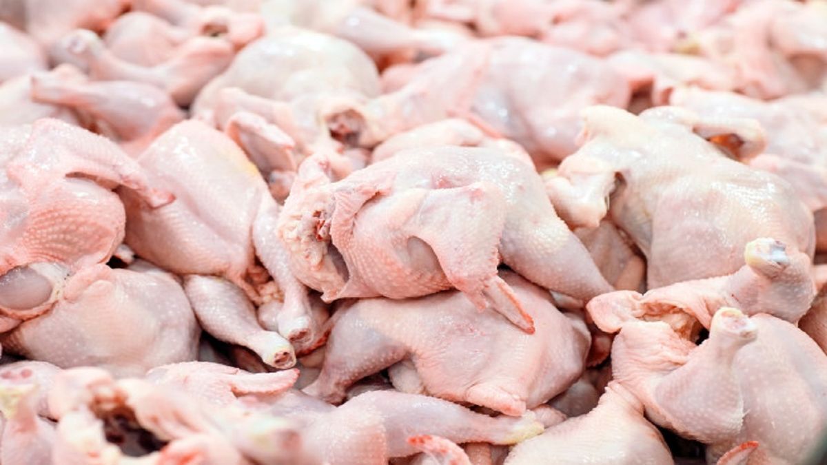 تداوم عرضه مرغ به قیمت مصوب در میادین و فروشگاه‌ها
