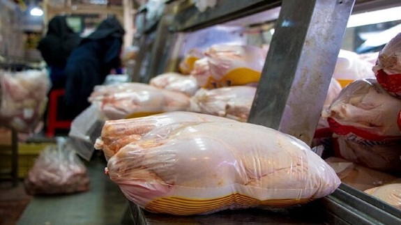 برخورد جدی با گرانفروشان بازار مرغ