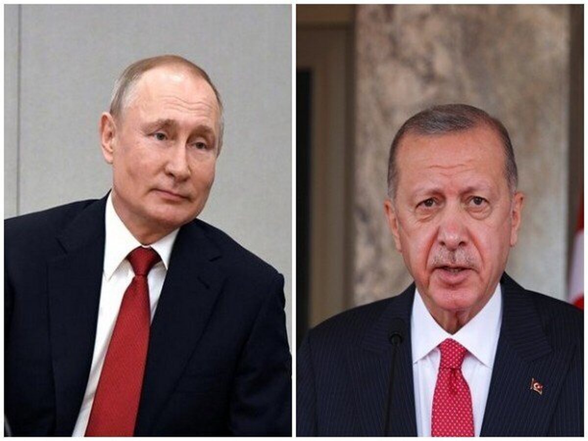 پوتین و اردوغان درباره تحولات روسیه گفتگو کردند
