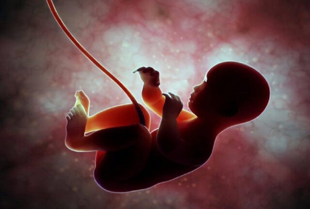 سخنگوی وزارت بهداشت: غربالگری جنین ممنوع نیست