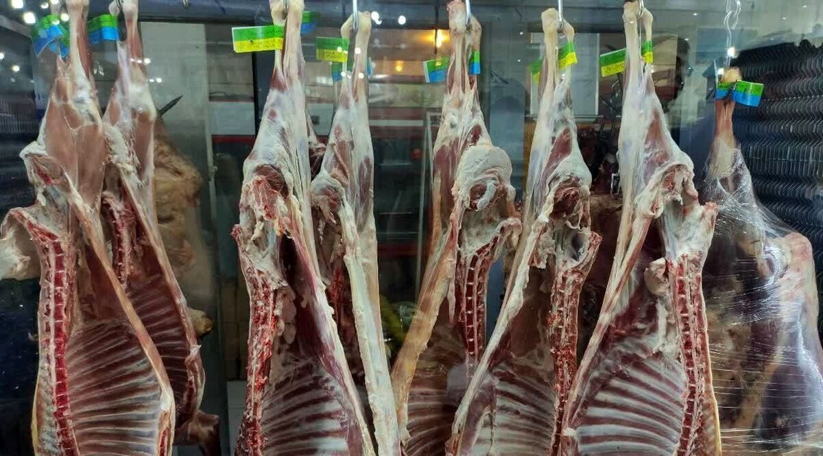نرخ واقعی گوشت قرمز در بازار اعلام شد