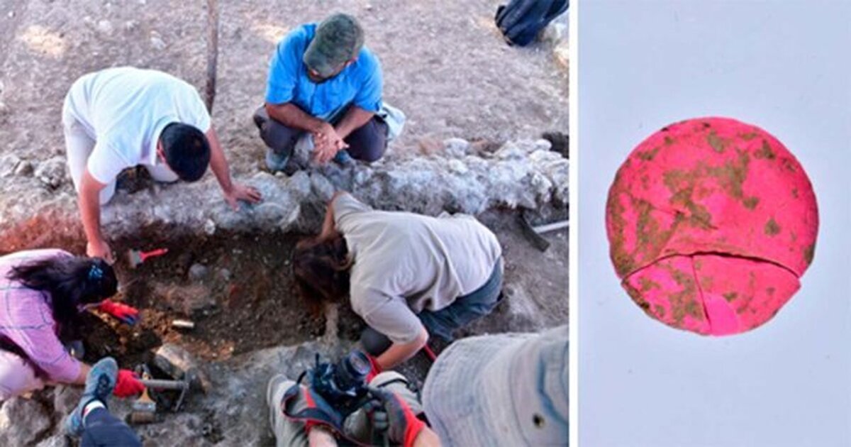 کشف اسکلت ۱۲ هزار ساله در پی کاوش باستان شناسان در غار هوتو مازندران