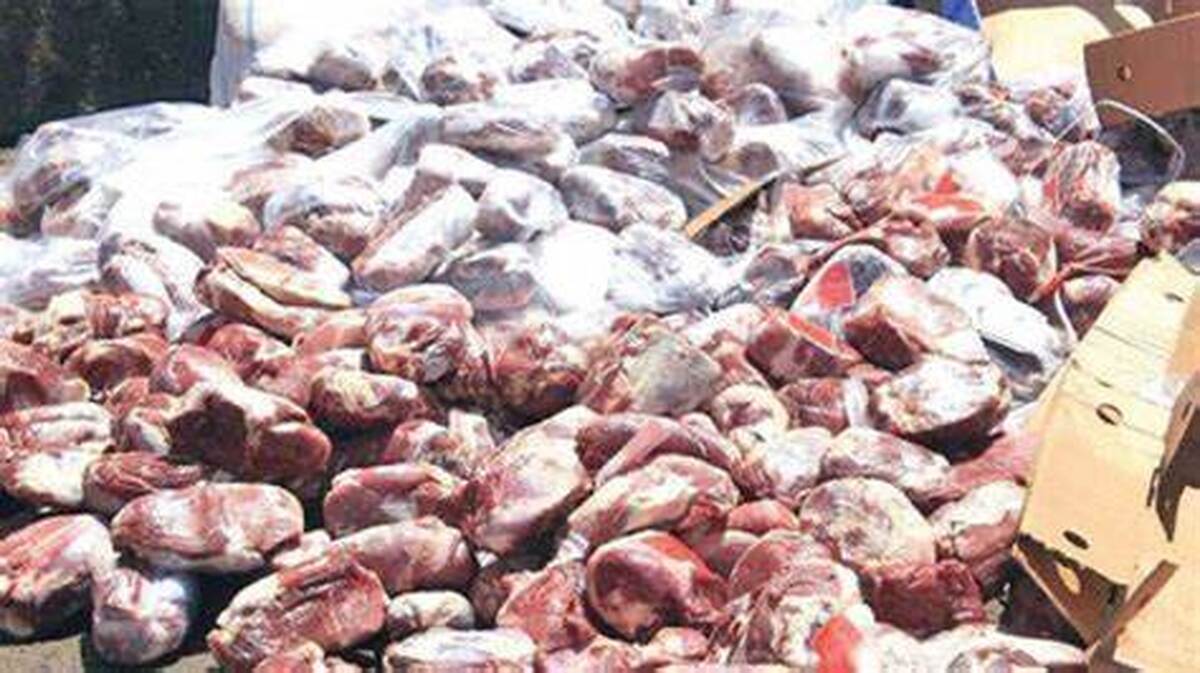 کشف ۳۰ تن گوشت فاسد در تهران