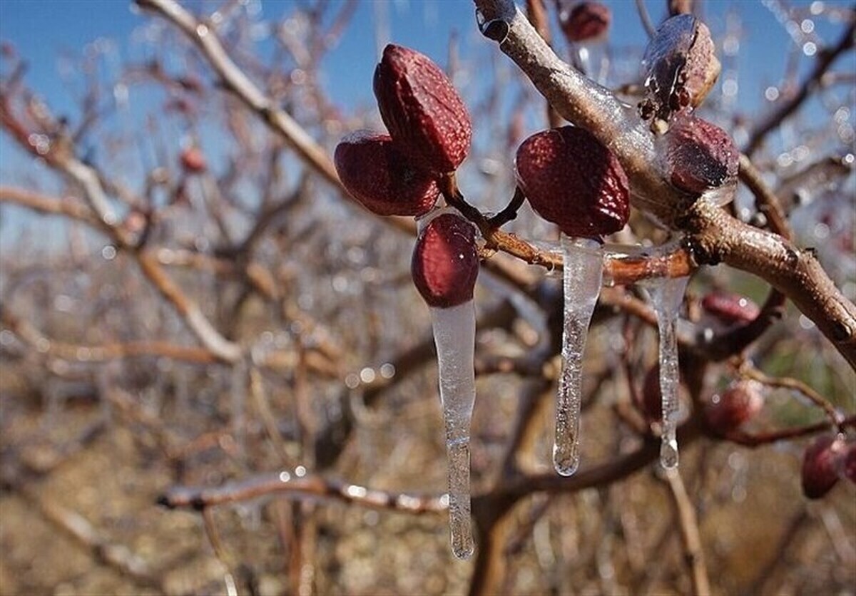 ثبت نخستین دمای زیر صفر در استان تهران