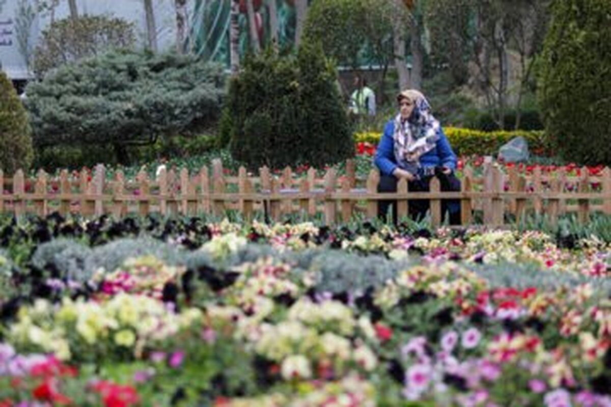 جشنوارۀ گل‌های داوودی در تهران