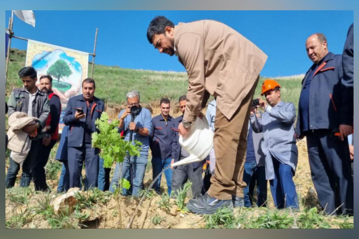 عملیات جنگل‌کاری ۴۰۰ هکتاری مس سونگون در ارسباران آغاز شد