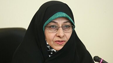 نظر خزعلی درباره چند همسری مردان متمول