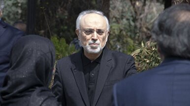 فیلم/  علی اکبر صالحی: شهید امیرعبداللهیان مثل فرزندم بود