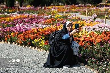 جشنوارۀ گل‌های داوودی در تهران