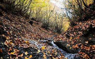 زیبایی مسحورکننده گردنه حیران