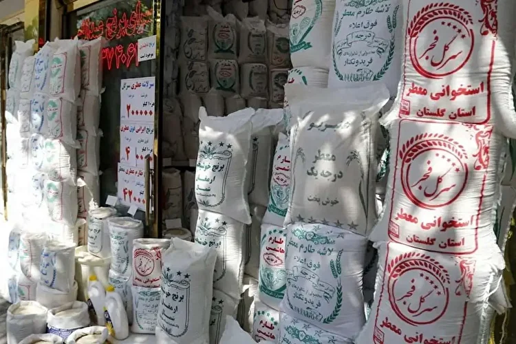 قیمت برنج هم رکورد شکست؟