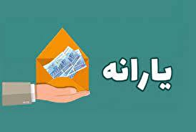 مسافرت خارجی، دلیل اصلی حذف یارانه ۴۳۰هزار نفر